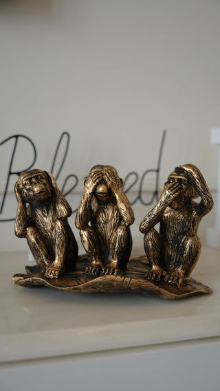 3 Wise Monkeys