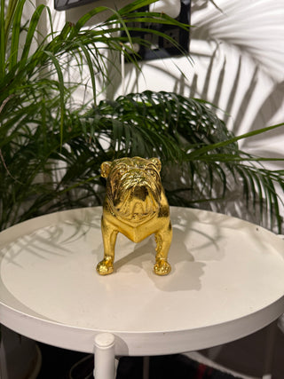 Golden Bulldog