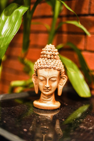BUDDHA HEAD STATUE