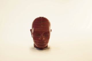 ABSTRACT MUTLILAYERED FACE  STATUE