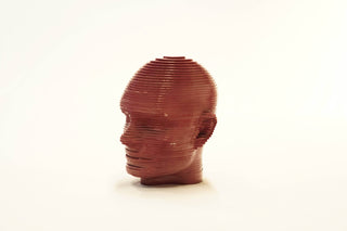 ABSTRACT MUTLILAYERED FACE  STATUE