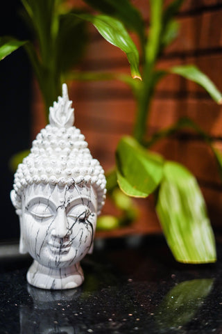BUDDHA HEAD STATUE