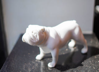 BULLDOG STATUE